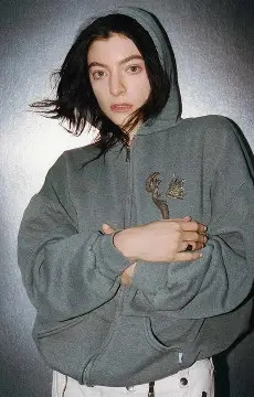 virgin lorde 的图像结果